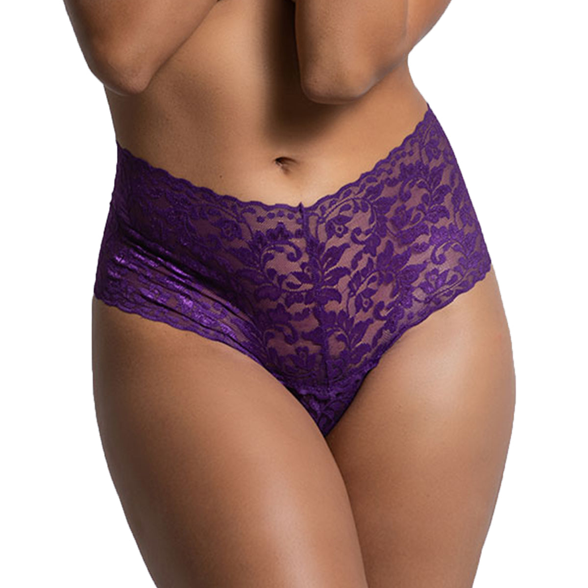 Women's Sheer Lace High-Waist Panty